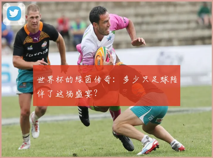 世界杯的绿茵传奇：多少只足球陪伴了这场盛宴？