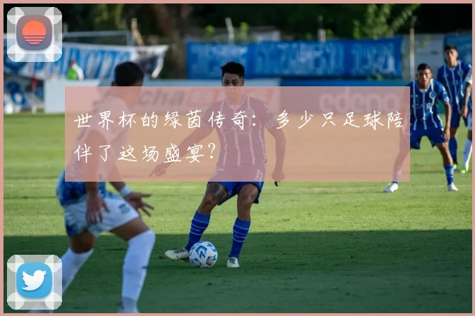 世界杯的绿茵传奇：多少只足球陪伴了这场盛宴？
