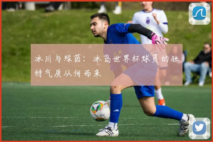 冰川与绿茵：冰岛世界杯球员的独特气质从何而来