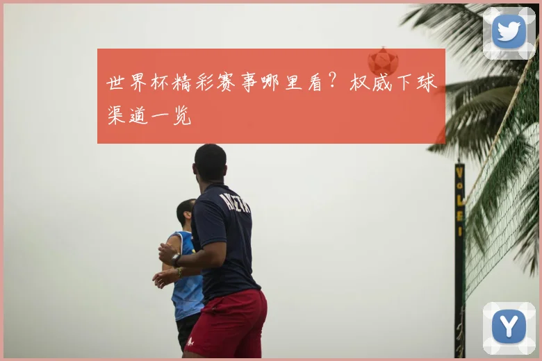 世界杯精彩赛事哪里看？权威下球渠道一览