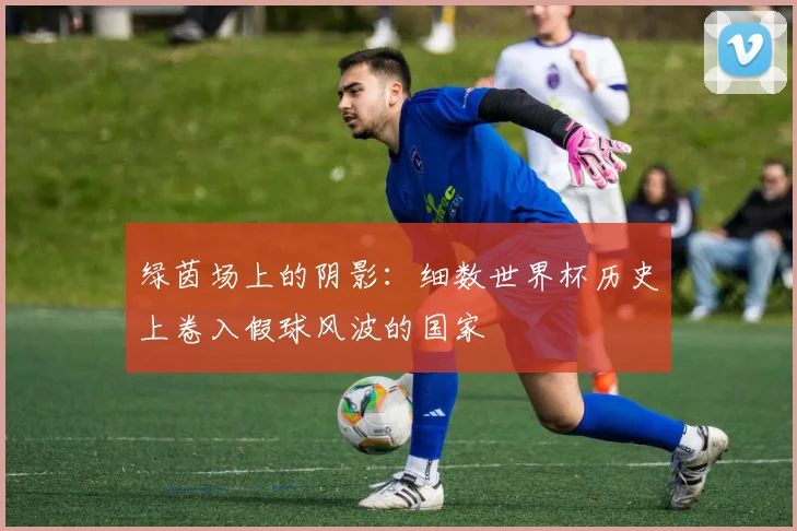 绿茵场上的阴影：细数世界杯历史上卷入假球风波的国家
